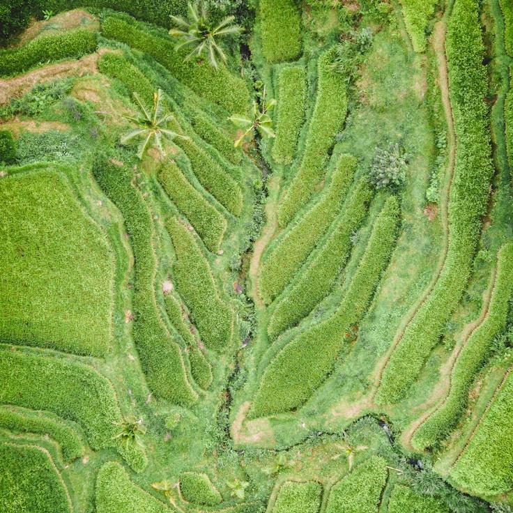 Family terraces and cafés for calm evenings in Berlin
